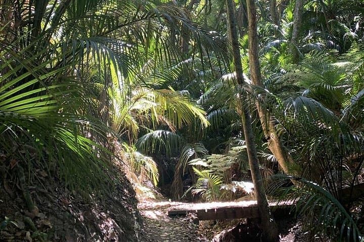 Best of Waiheke Island: Private Guided 4-Day Waiheke Escape photo 4