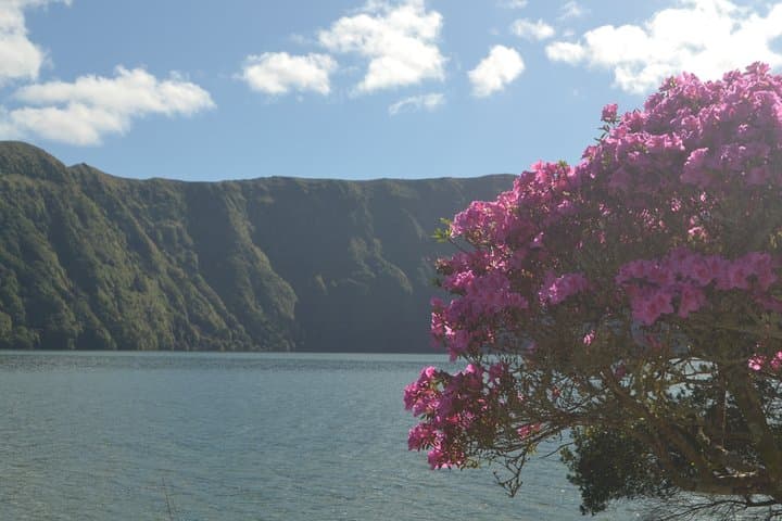 Half-Day Sete Cidades West: Vista do Rei, Pineapple Greenhouses & Escalvado Views photo 1