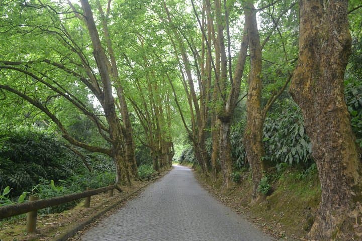 Hike Salto do Cabrito to Lagoa do Fogo and Caldeira Velha Hot Springs photo 3