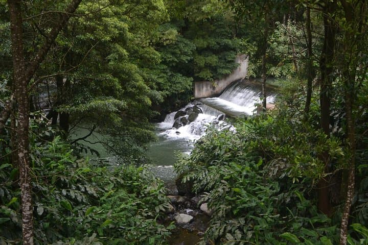 Hike Salto do Cabrito to Lagoa do Fogo and Caldeira Velha Hot Springs photo 5