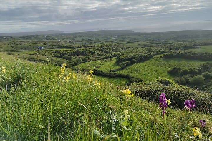 Burren and Cliffs of Moher Private Day Tour from Galway | Wild Atlantic Way Views photo 4