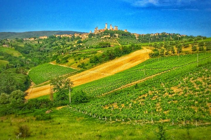 Chianti to San Gimignano Bike Tour: Rolling Hills, Medieval Towers & Wine Tasting