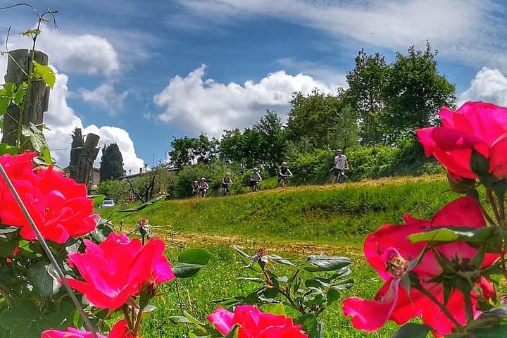 Best of Chianti Classico E‑Bike Tour: Greve, Panzano & Vineyards photo 2