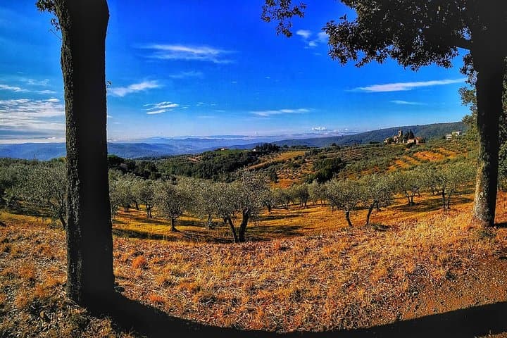 Best of Chianti Classico E‑Bike Tour: Greve, Panzano & Vineyards photo 3