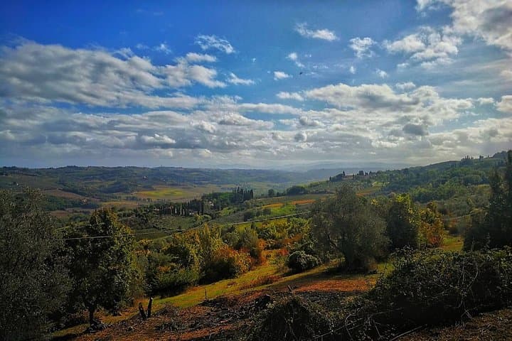 Best of Chianti Classico E‑Bike Tour: Greve, Panzano & Vineyards photo 4