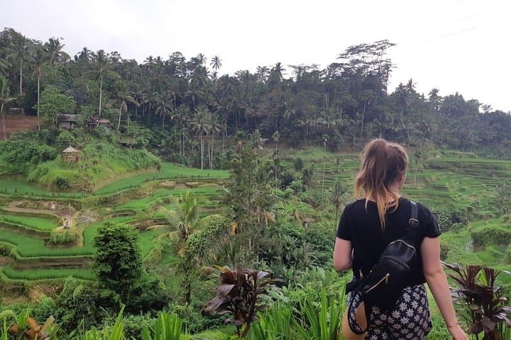 Full-Day Ubud Culture and Volcano Tour: Rice Terraces, Monkey Forest & Waterfall