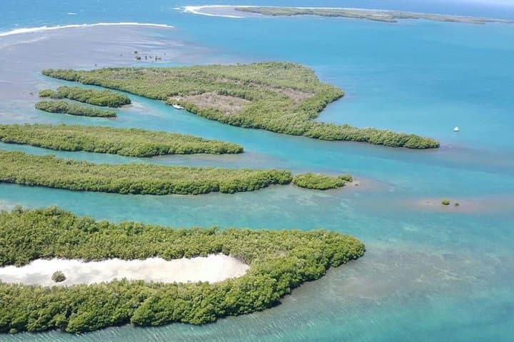 Private Day Sail to Jobos Bay & Cayo Caribe — South Coast Puerto Rico photo 4