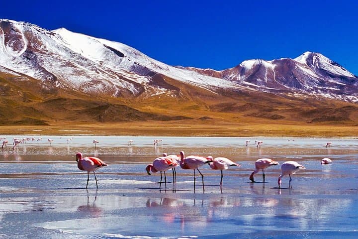 3-Day Uyuni Salt Flats & Eduardo Avaroa 4x4 Adventure photo 6