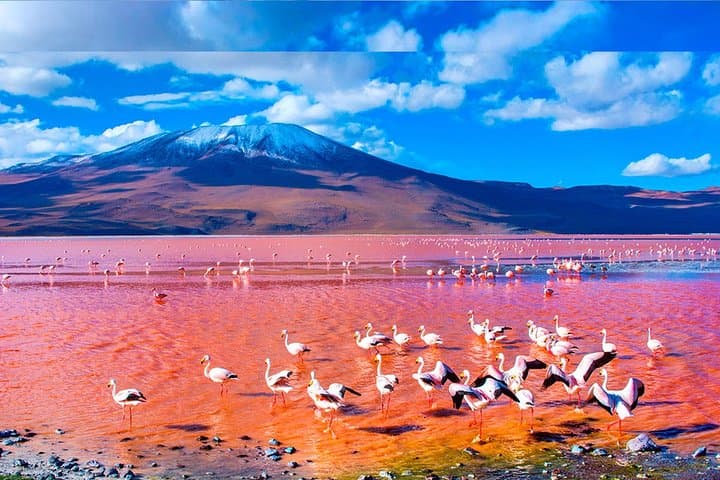 3-Day Uyuni Salt Flats & Eduardo Avaroa 4x4 Adventure photo 3