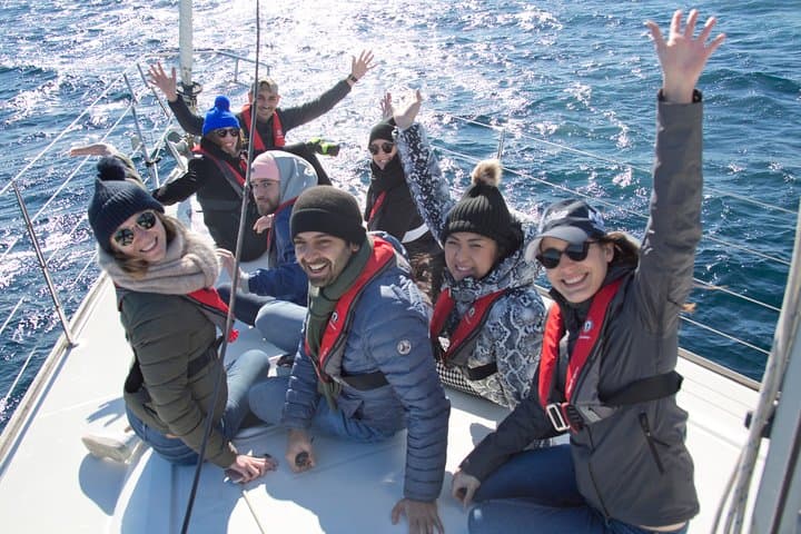 Whales Under Sail: Sydney Whale Watching Sailing Experience photo 2