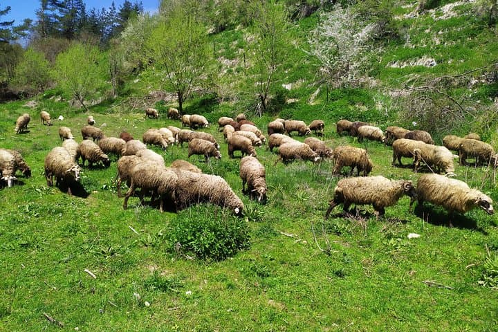 Rhodope Mountains: 5-Day Historical & Natural Wonders Tour from Sofia photo 6