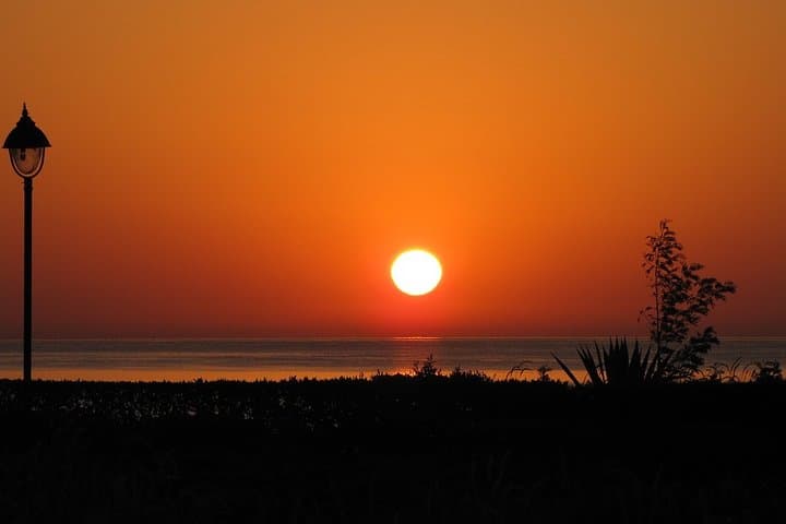 Half-Day Abu Dabab Beach Snorkel Tour — Sea Turtles & Reefs Near Marsa Alam photo 1