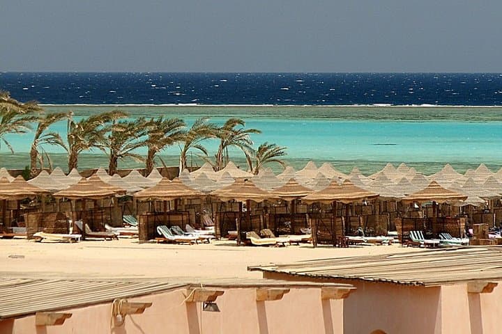 Half-Day Abu Dabab Beach Snorkel Tour — Sea Turtles & Reefs Near Marsa Alam photo 2