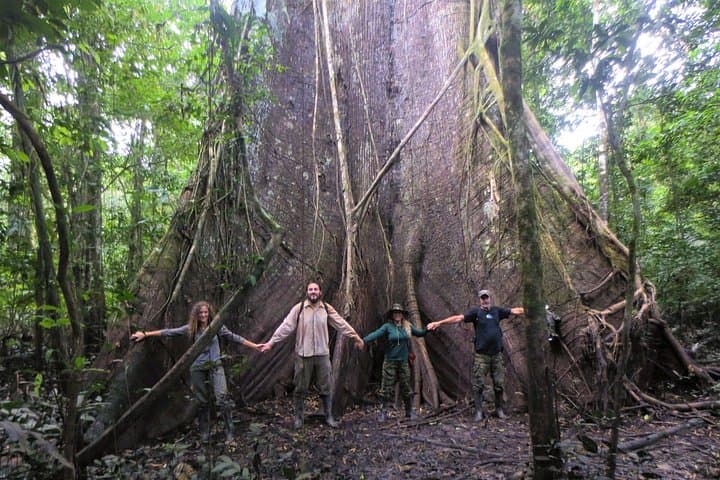 Pacaya-Samiria 2-Day Amazon Camping Tour from Iquitos — Wildlife, Lagoons & Jungle Camping photo 3