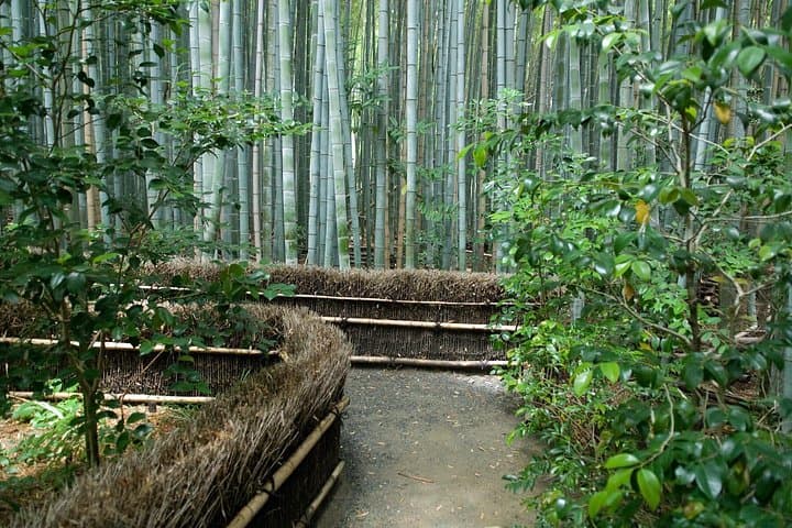 Arashiyama Bamboo Forest E-Biking Tour — Kyoto Electric Bike Route photo 2