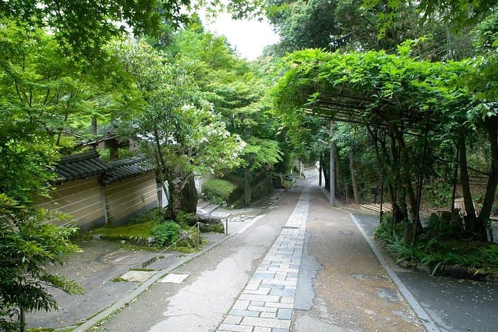 Arashiyama Bamboo Forest E-Biking Tour — Kyoto Electric Bike Route photo 3