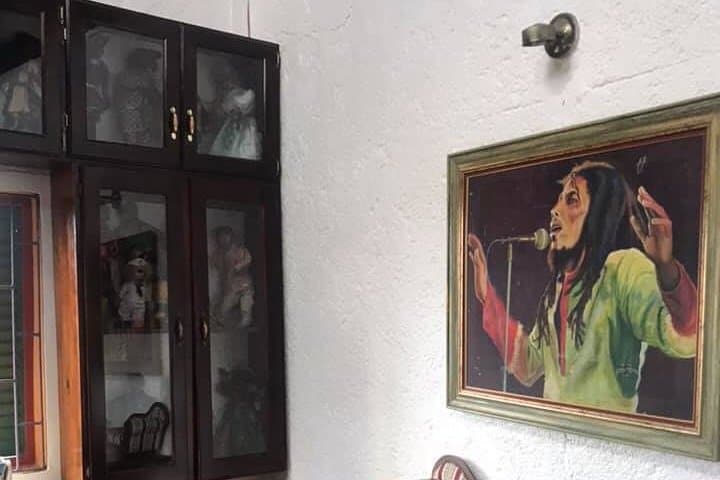Bob Marley & Blue Hole Combo: Ocho Rios Day Trip with Transport photo 5