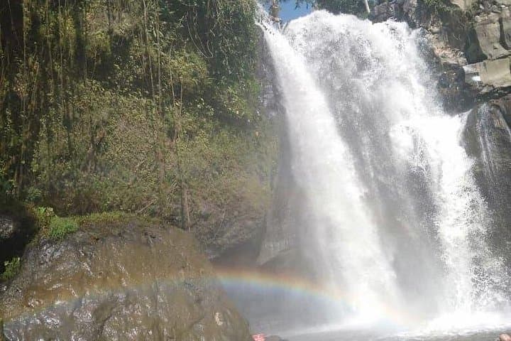 Ubud One-Day Tour: Tegenungan Waterfall, Tegalalang Rice Terraces & Tirta Empul photo 4