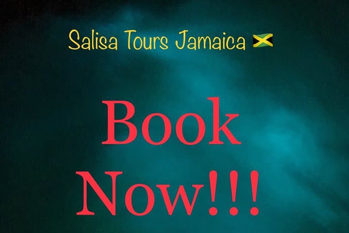 Blue Hole, Horseback & Glistening Waters Transport from Ocho Rios photo 2