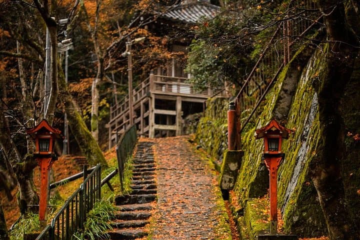 Arashiyama Bamboo Forest E-Biking Tour — Kyoto Electric Bike Route photo 4