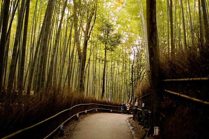 Arashiyama Bamboo Forest E-Biking Tour — Kyoto Electric Bike Route photo 5