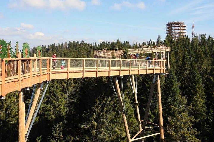 Treetop Walk in Ždiar and Chochołowskie Thermal Baths Day Trip from Kraków photo 3