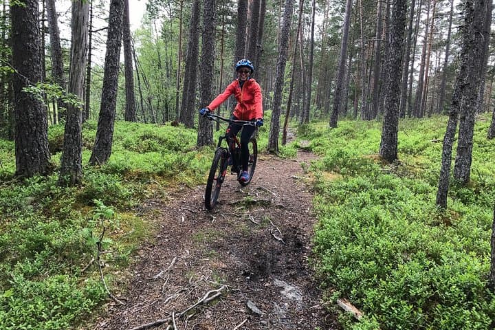 Voss Forest Mountain Bike Tour: Flow Singletrack & Vosso River Rides photo 5