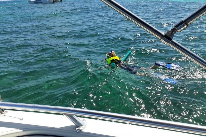 Explore the Vibrant Reefs of Key Largo on a Private Snorkel Tour photo 5