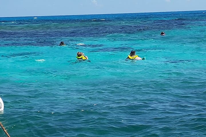 Explore the Vibrant Reefs of Key Largo on a Private Snorkel Tour photo 6