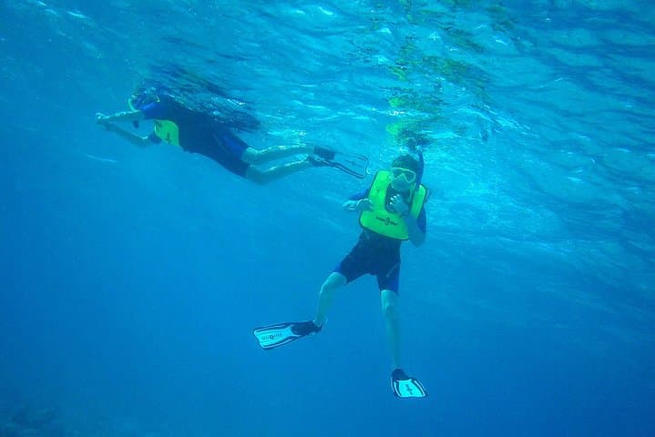 Explore the Vibrant Reefs of Key Largo on a Private Snorkel Tour photo 2