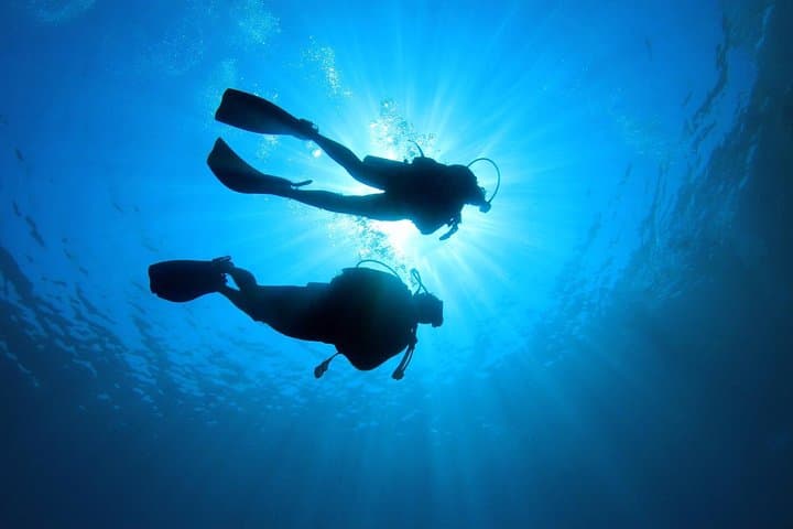Discover Scuba Diving in Tenerife: Introductory Bay Dive at La Caleta photo 2