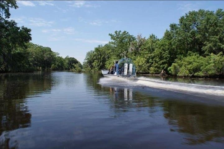 High-Speed Airboat Swamp Tour from New Orleans — Small-Group Wildlife Adventure photo 4