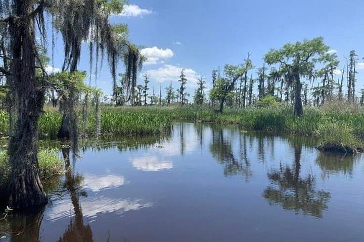 High-Speed Airboat Swamp Tour from New Orleans — Small-Group Wildlife Adventure photo 3