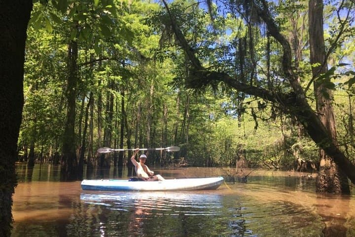 Manchac Swamp Kayak Tour: Small-Group Wildlife Paddle from New Orleans photo 4