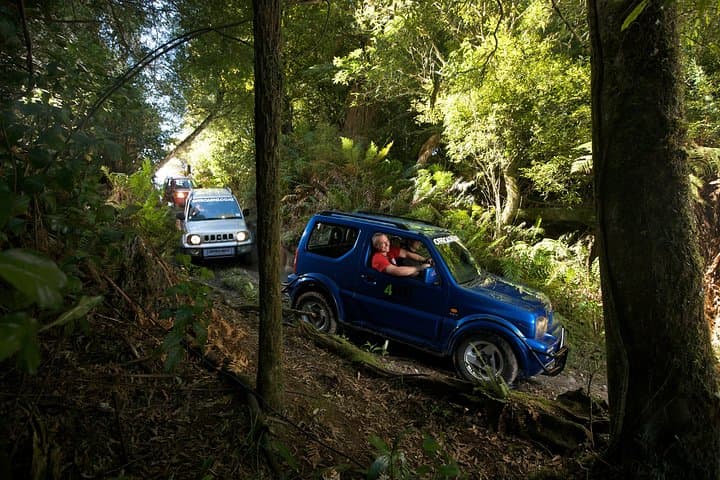 Experience the Thrill of Rotorua’s 4WD Bush Safari at Off Road NZ photo 3