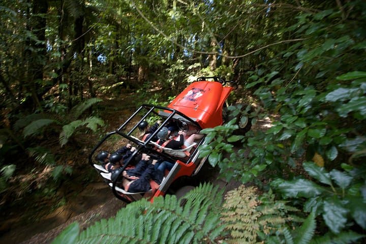 Rotorua High-Speed Karting and Monster 4x4 Thrill Ride photo 4