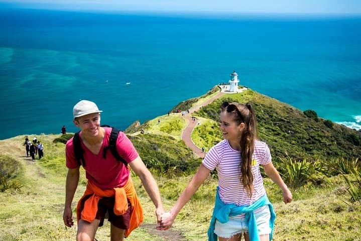 Cape Reinga & 90 Mile Beach: Full-Day Tour from Paihia to the Top of New Zealand