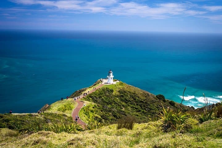 Cape Reinga & 90 Mile Beach: Full-Day Tour from Paihia to the Top of New Zealand photo 6
