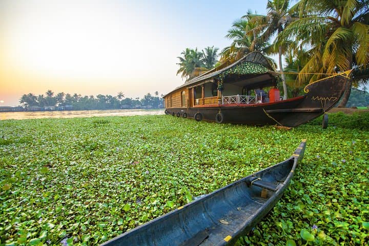 Kerala to Mumbai: 10-Day Tropical South India Journey through Backwaters, Tea Hills & Wildlife