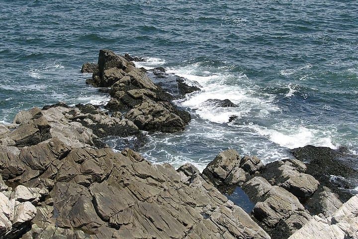 Explore Coastal Maine: Private Full Day Tour from Boston with Expert Guide photo 2