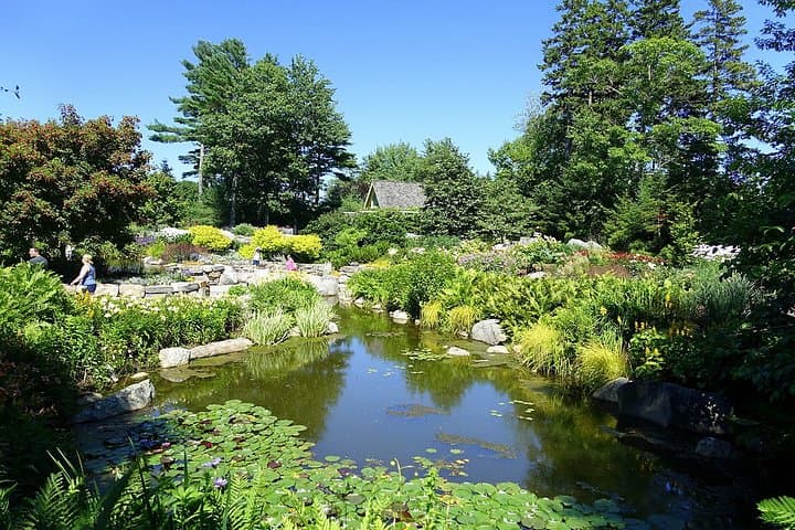 Explore Coastal Maine: Private Full Day Tour from Boston with Expert Guide photo 4