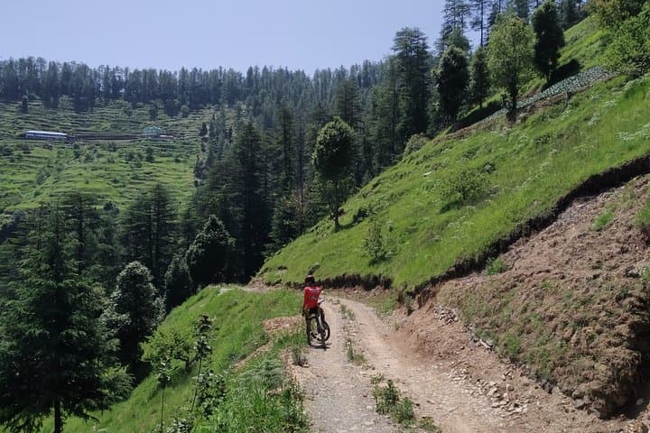 Full-Day Shimla Mountain Bike Tour: Private Guided Ride on Jeep Tracks and Forest Roads photo 3
