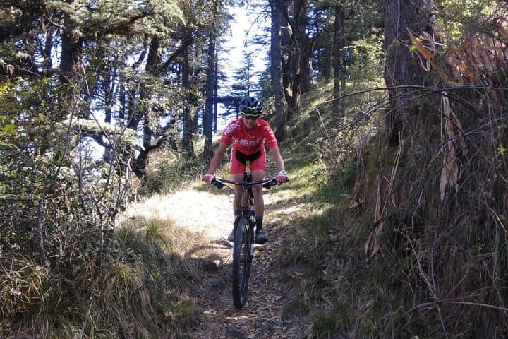 Full-Day Shimla Mountain Bike Tour: Private Guided Ride on Jeep Tracks and Forest Roads photo 5