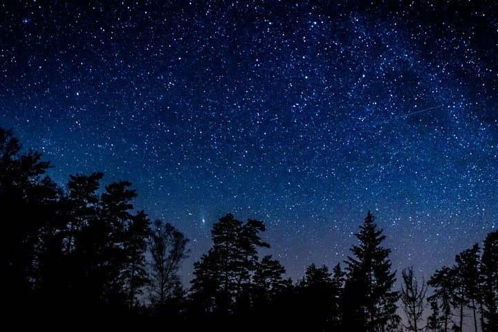 Private Stargazing at Sequoia National Park — Guided Night Sky Experience
