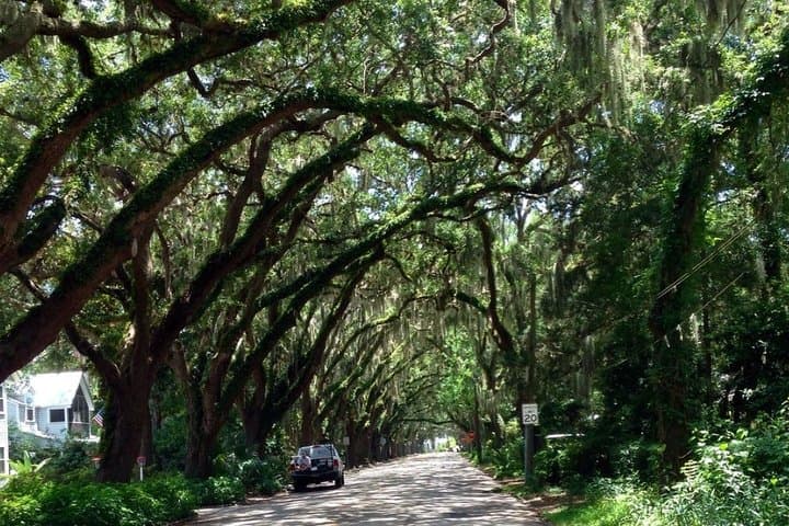 Private Guided Electric Cart Tour of Historic St. Augustine photo 3