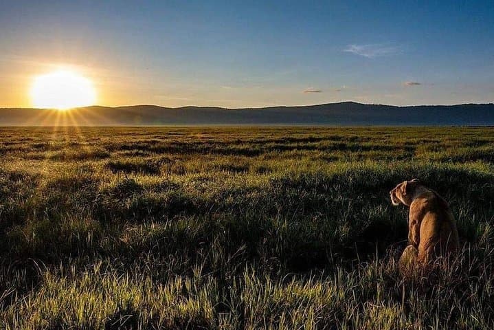 Ngorongoro Crater Day Safari: Full-Day Wildlife Drive from Arusha photo 2