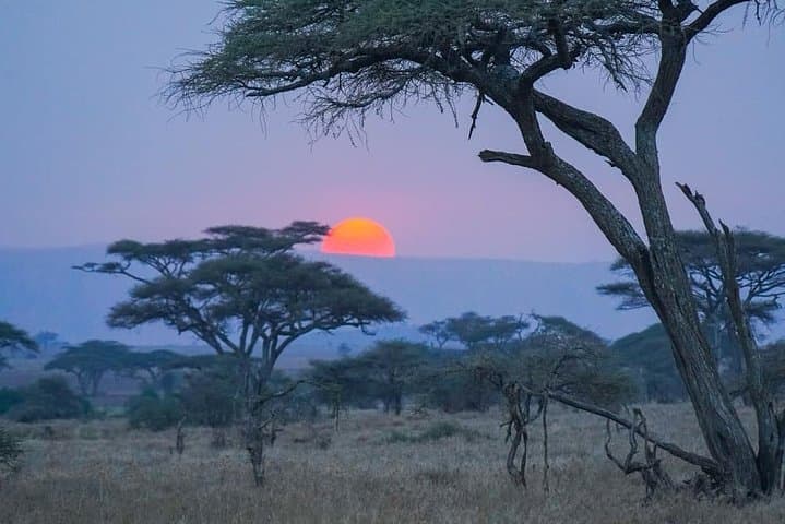 Ngorongoro Crater Day Safari: Full-Day Wildlife Drive from Arusha photo 3