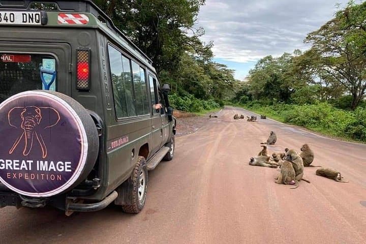 3-Day Serengeti and Ngorongoro Crater Safari from Arusha