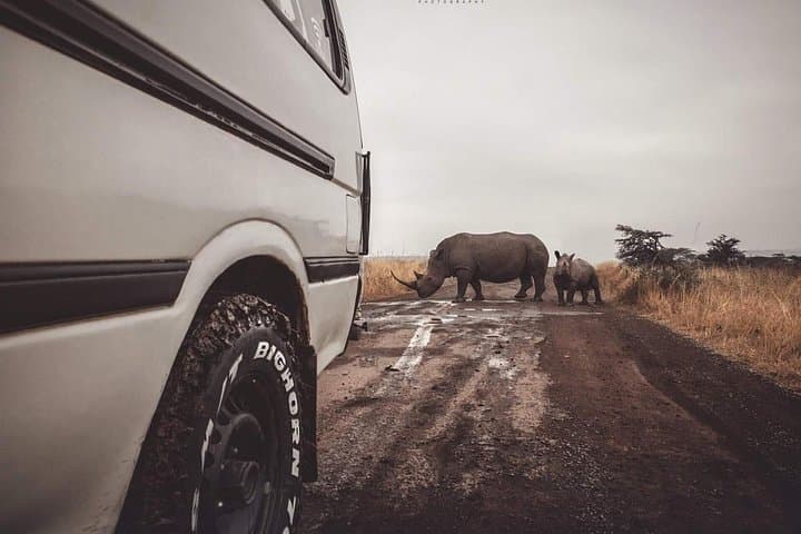 Explore Nairobi National Park: Private Safari Tour in Open-Roof Van photo 3
