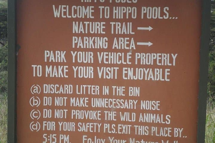 Explore Nairobi National Park: Private Safari Tour in Open-Roof Van photo 5